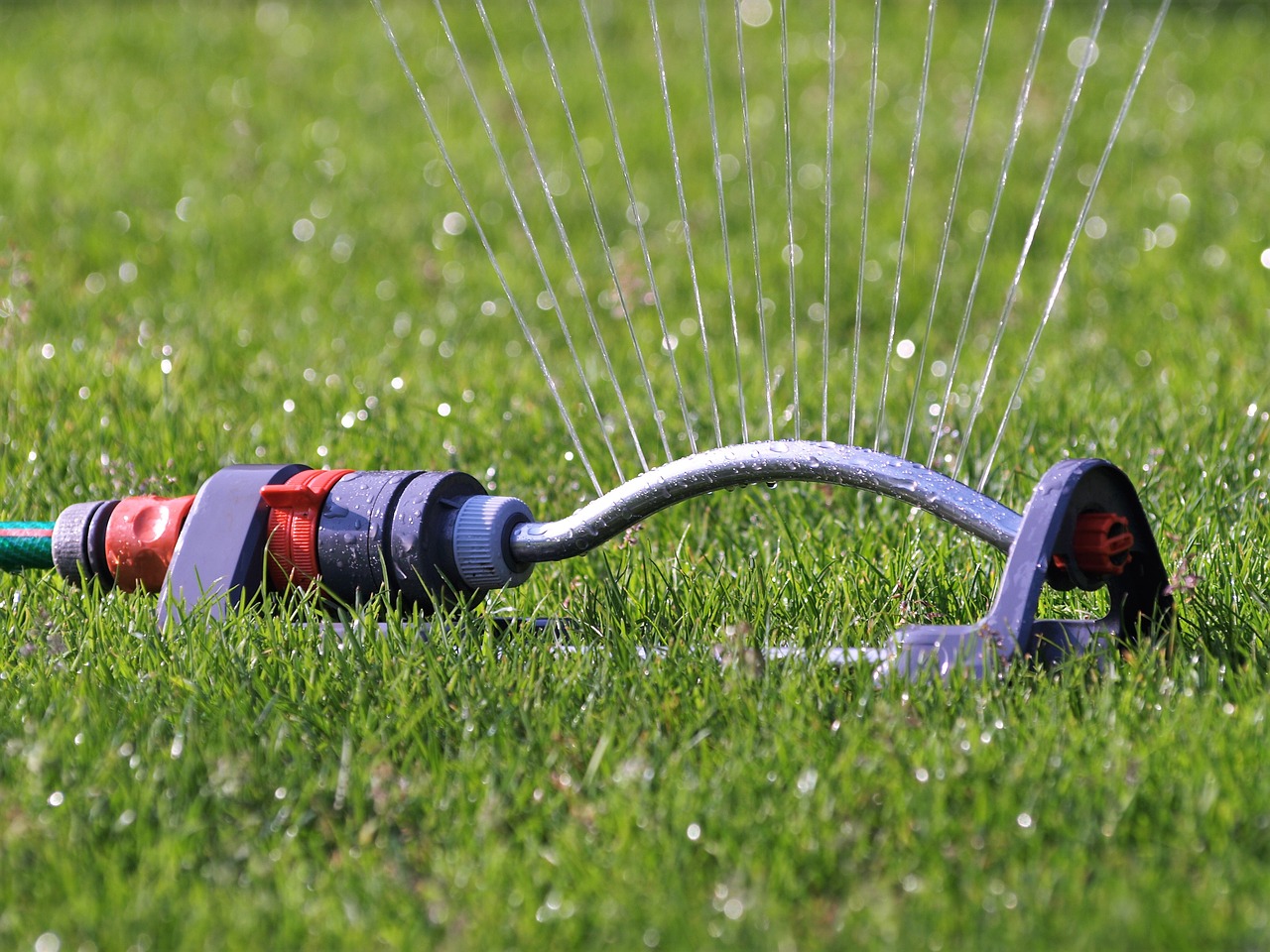 Rasen Sprinkler Grundwasser Bewässerung
