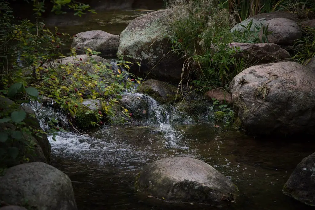Bachlauf Steine Pflanzen Wasser Teich
