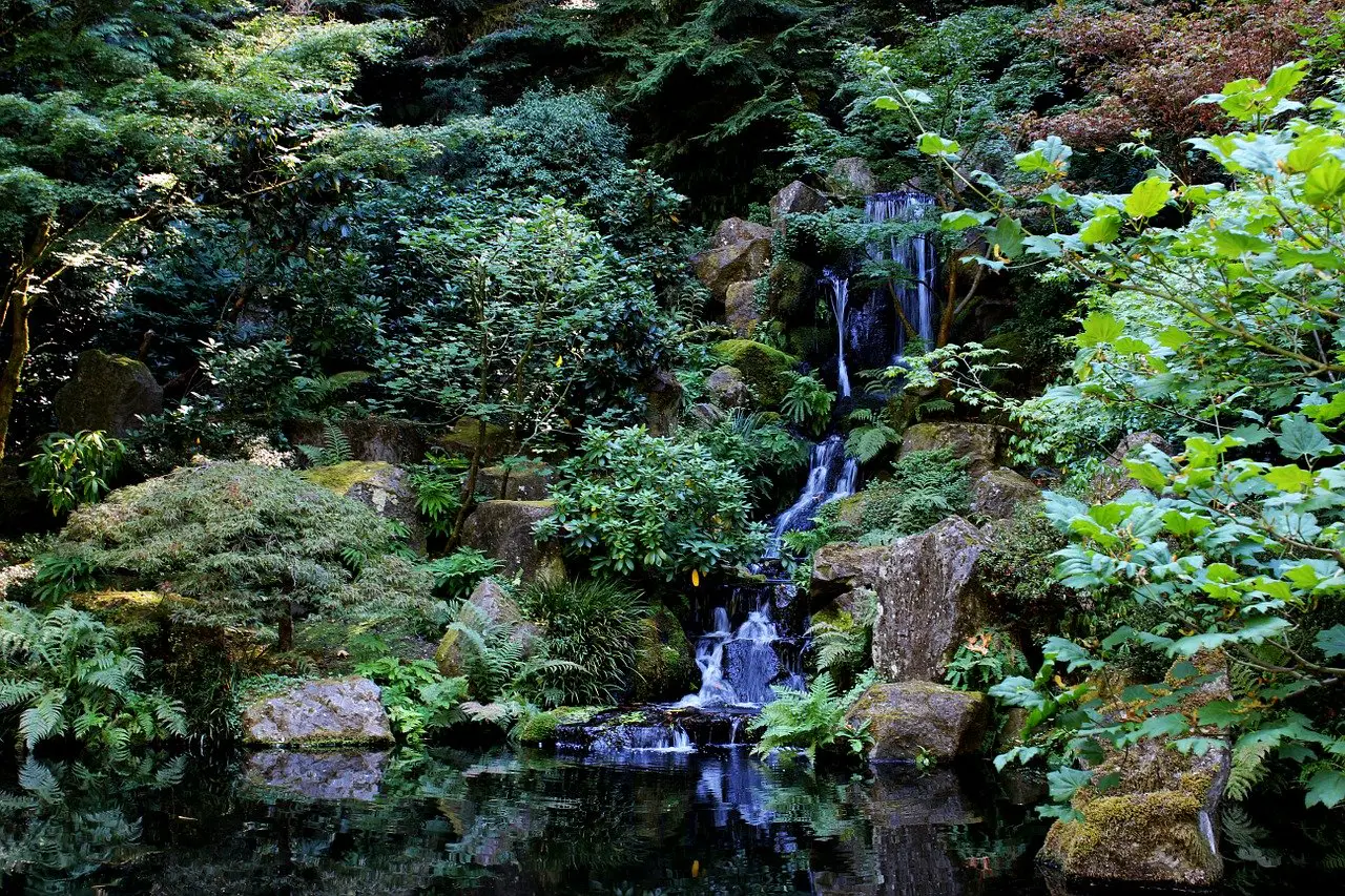 Garten Teich Wasserfall Bachlauf Pflanzen