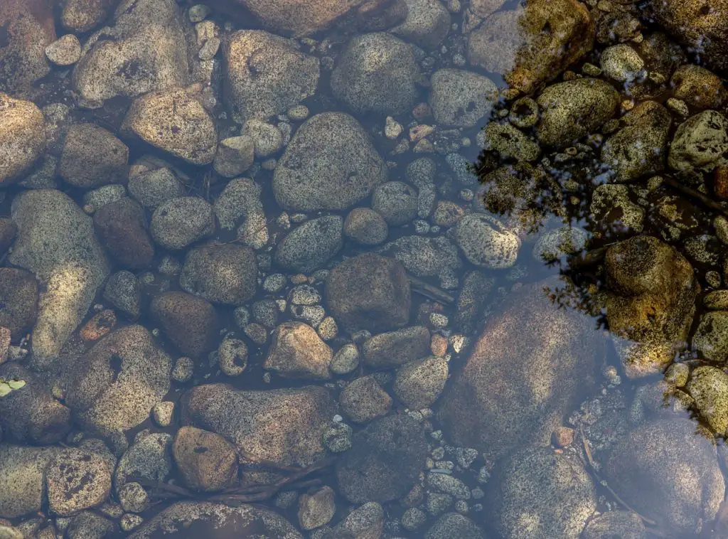 Teich Sauberes Wasser Steine